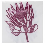 SERVIETTES PROTEA
