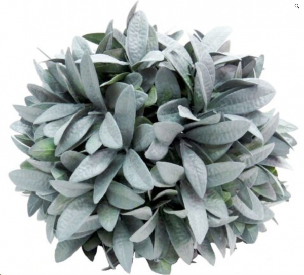 PLANT BALL CITADEL 24CM