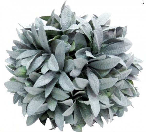 PLANT BALL CITADEL 24cm