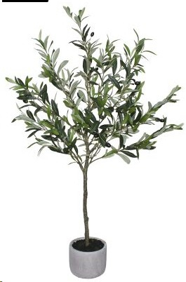 PLANT OLIVE TREE 109CM