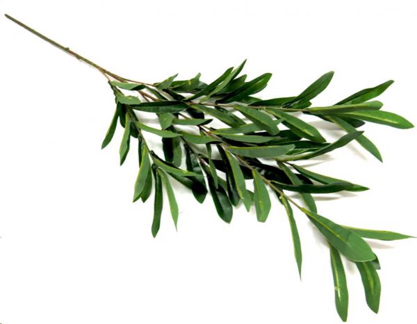 PLANT OLIVE STEM 85CM