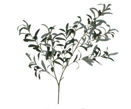 PLANT OLIVE BRANCH 100CM