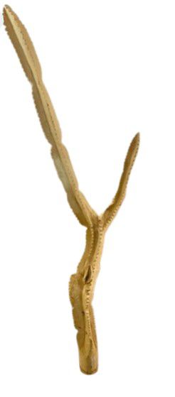 WOODEN CACTUS NATURAL 2M