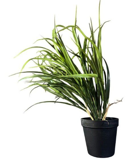 PLANT POT GRASS TALL 40CM