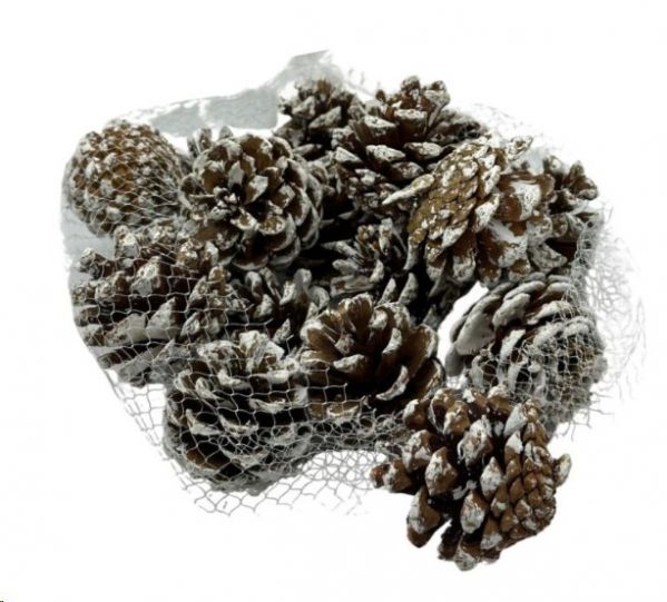 PINECONE WHITEWASH