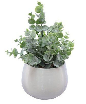 PLANT POT WHITE COIN LEAF 24X10CM
