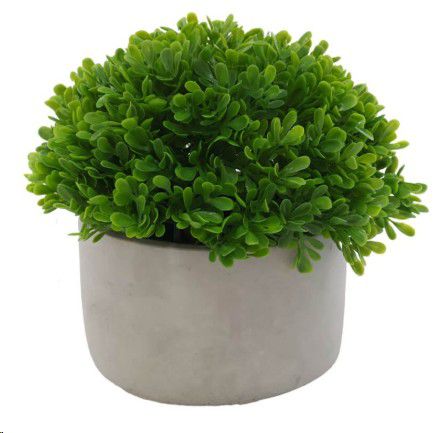 PLANT PEARL GRASS CEMENT POT 19X20