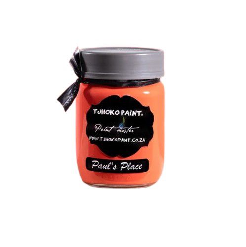 TJHOKO PAINT PAUL'S PLACE 250ML