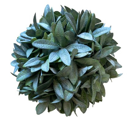 PLANT BALL CITADEL 21CM