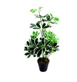 PLANT UMBRELLA 55CM