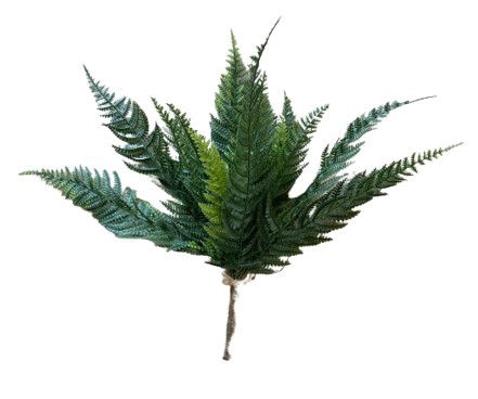 PLANT FERN FABULOUS 15cm x 46cm