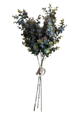 PLANT JARRAH BUNCH 72CM
