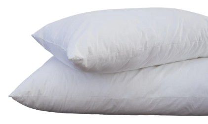 PILLOW INNER HAVEN MICROFIBRE SET OF 2 STD 45X70