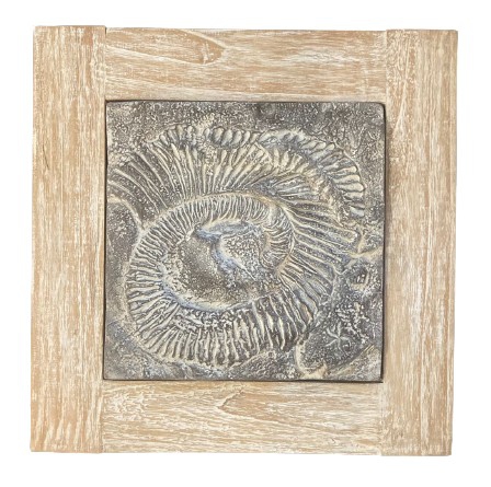 WALL DECO WORM FOSSIL BLACK