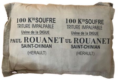 CUSHION FLOOR ROUANET 100X80