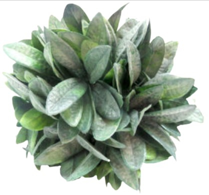 PLANT BALL VIRIDIAN 16CM