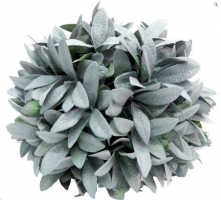 PLANT BALL CITADEL 24CM