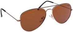 SUNGLASSES DONOVAN TEA LENS & GOLD FRAME