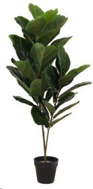 PLANT FIDDLE LEAF FIG TREE 90CM
