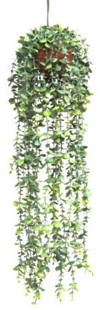 PLANT EUCALYPTUS CHANDELIER
