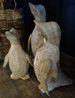 DECOR PENGUIN TEAK 22X17X25