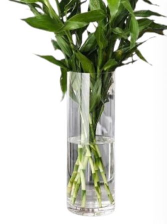 GLASS CYLINDER 15X60