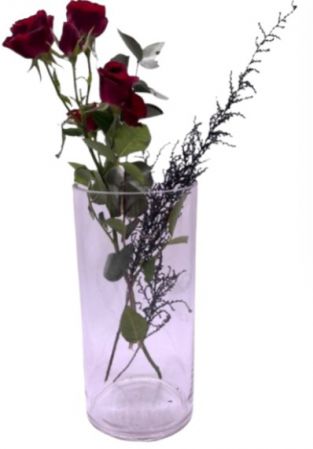 GLASS CYLINDER 12X25