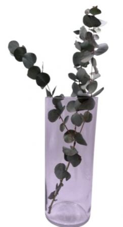GLASS CYLINDER 12X30