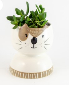 CERAMIC PLANTER POT DOG BOX