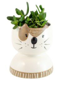 CERAMIC PLANTER POT DOG BOX
