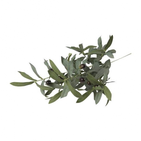 PLANT GREEN LEAVES